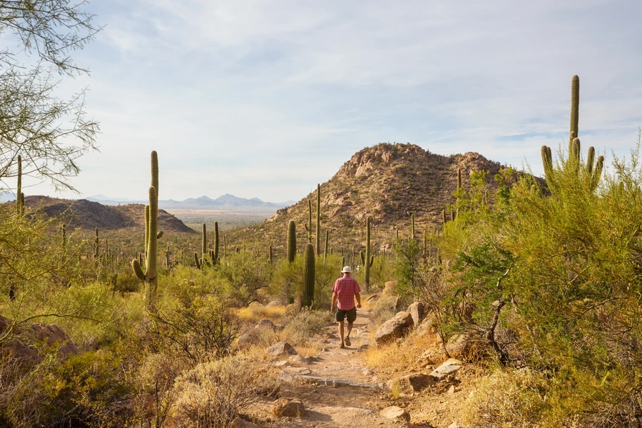 Colorado River at sunset near Yuma with desert vegetation