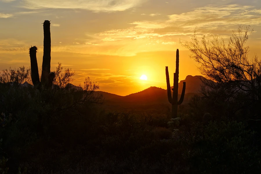 Yuma desert landscape at sunset with distant mountains