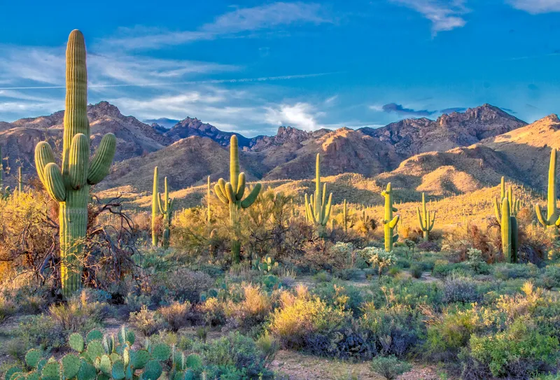 Best cities to live in Arizona