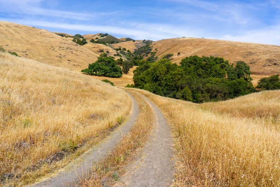 Lafayette-Moraga Regional Trail with creek and oak trees