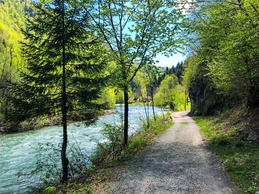 Fox River path with tree canopy and water reflection