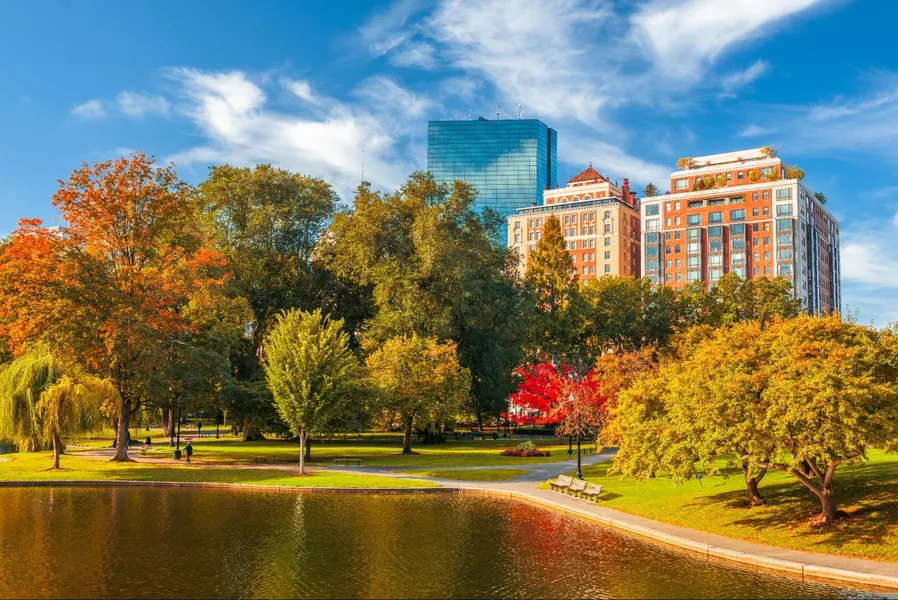 Back Bay Boston tree-lined streets