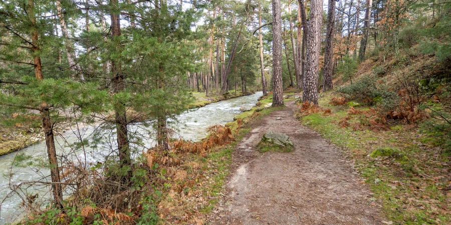 Deschutes River flowing through Bend with trail access in foreground