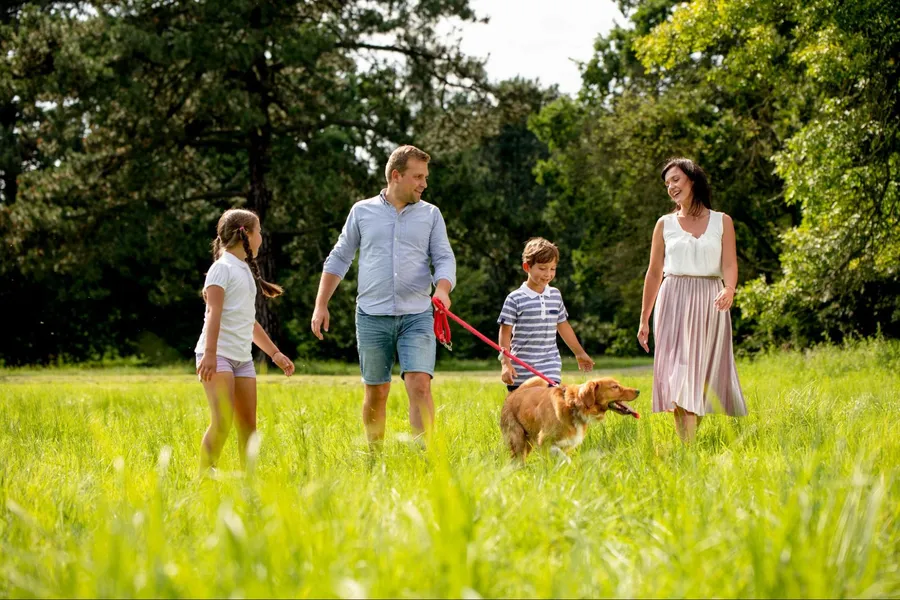 Family enjoying peaceful suburban neighborhood