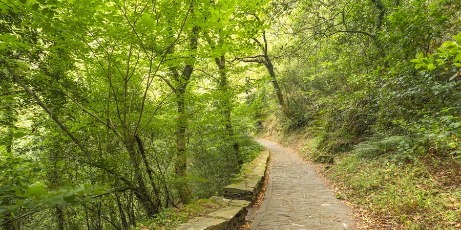 Hixson Tennessee River recreation and nature trails