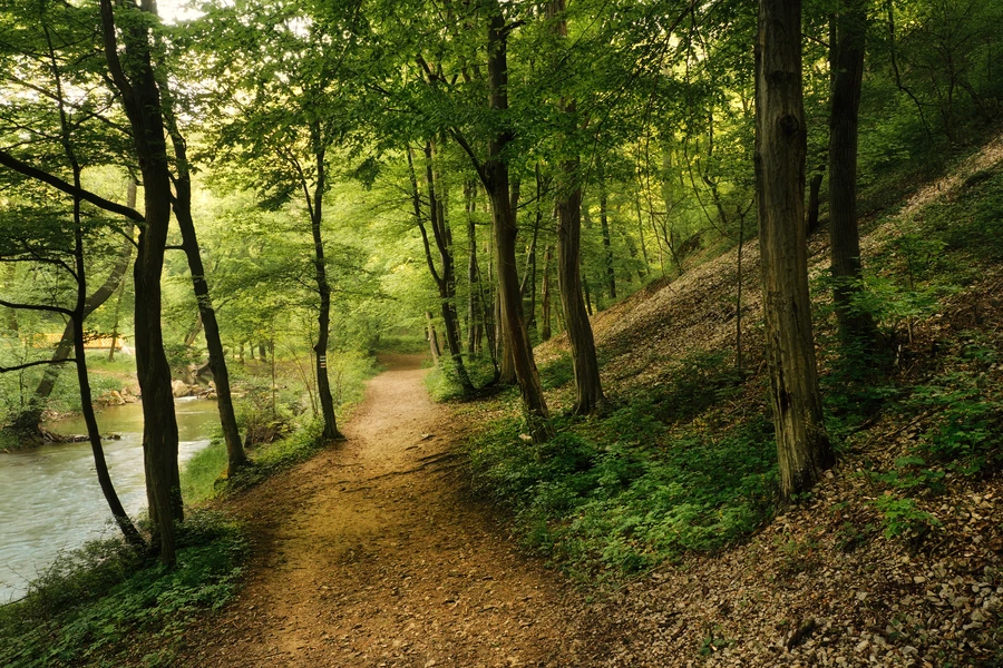 Tennessee River outdoor recreation and peaceful trails