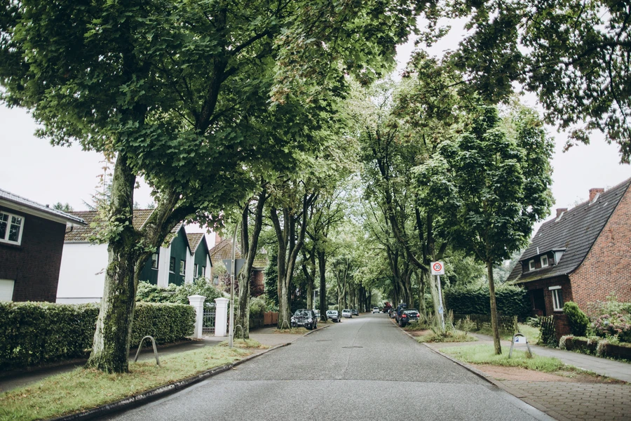 Allandale neighborhood with mature live oak trees and historic bungalows lining residential street