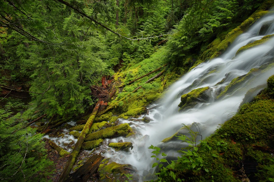 Wallace Falls 265-foot cascade with hiking trail and South Fork Stillaguamish River valley