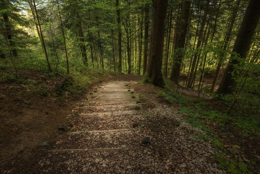 North Woods forests outdoor recreation trails Sarona Wisconsin